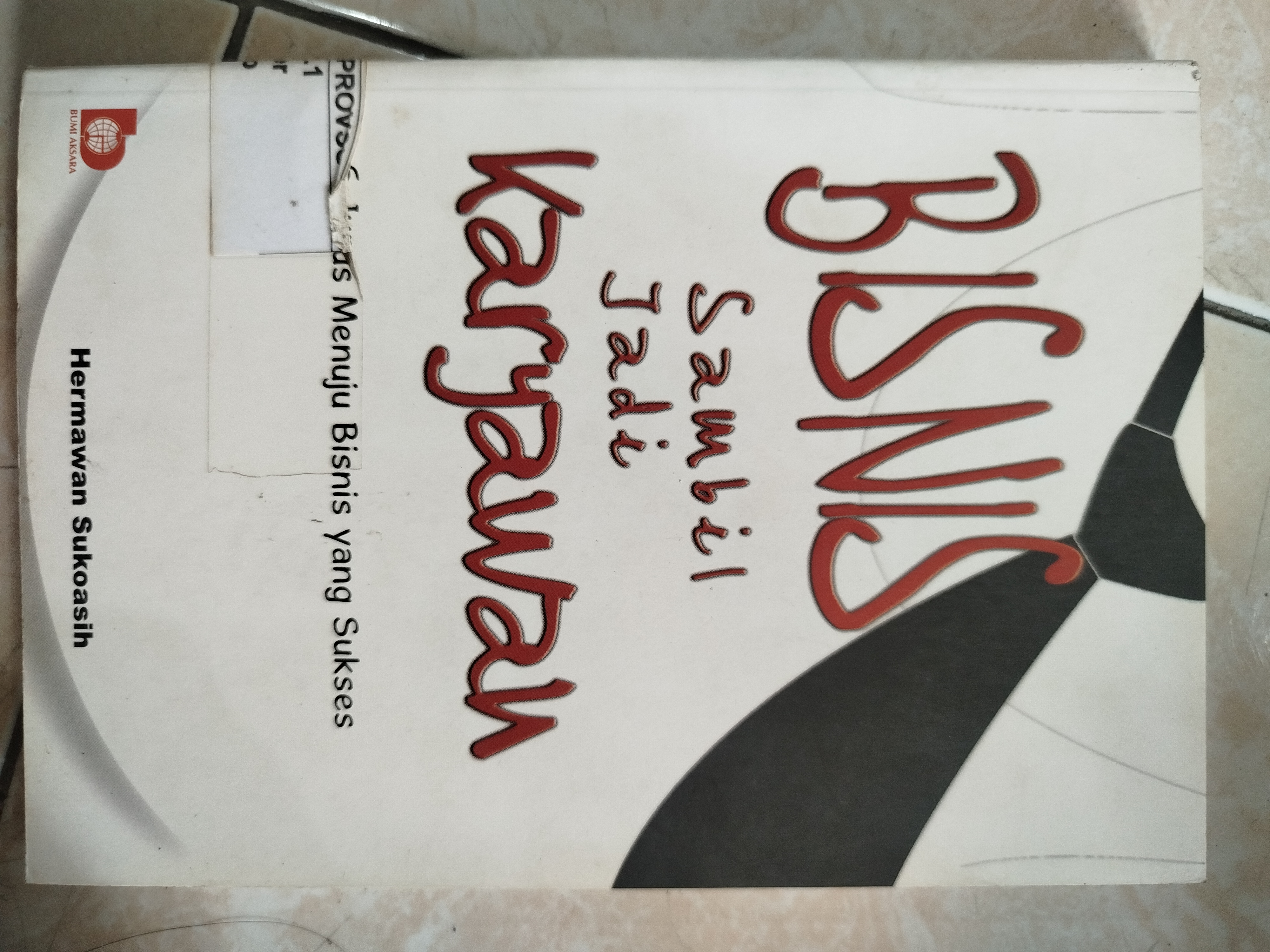 Bisnis sambil jadi Karyawan