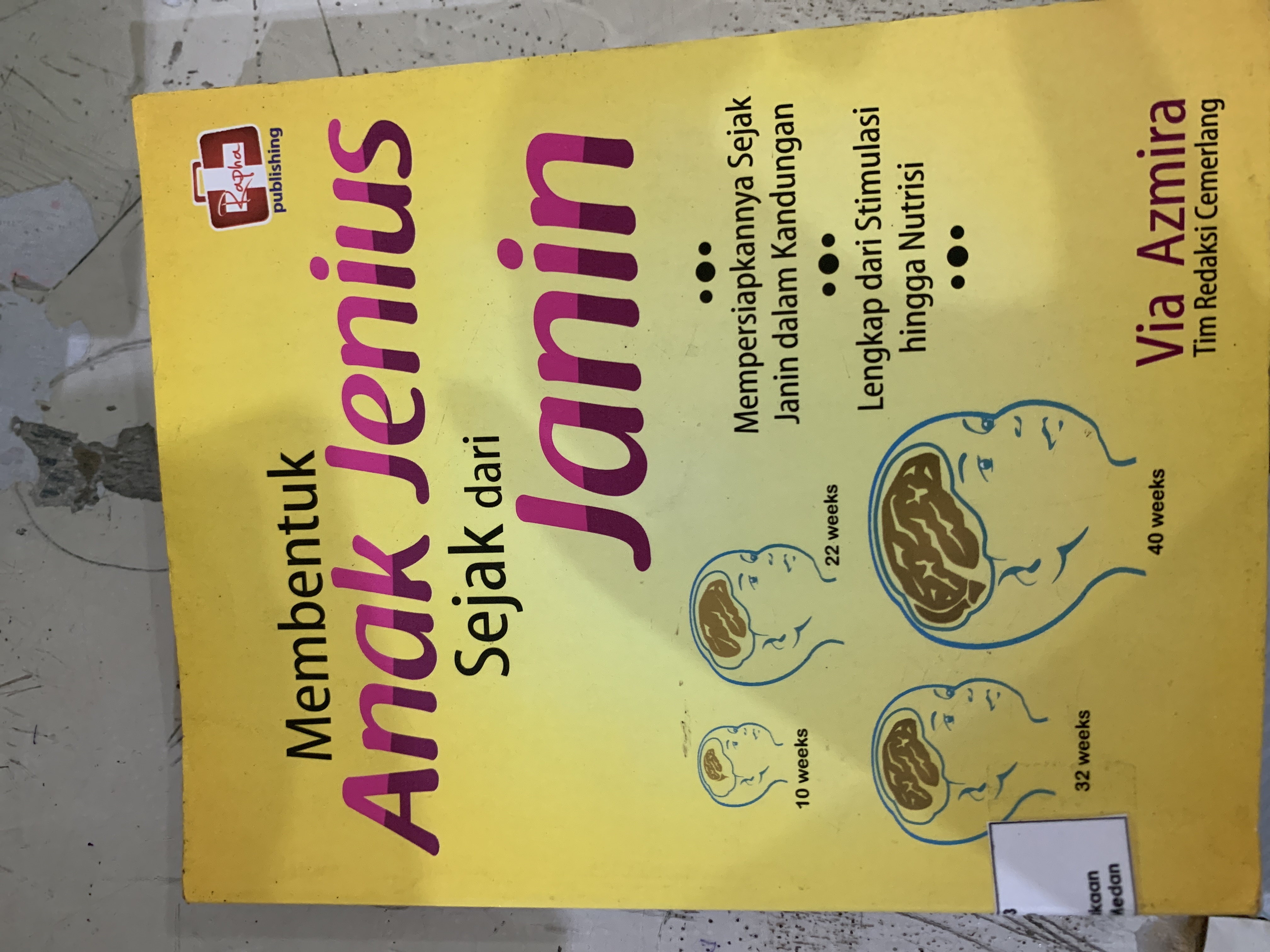 Membentuk anak jenius sejak dari janin