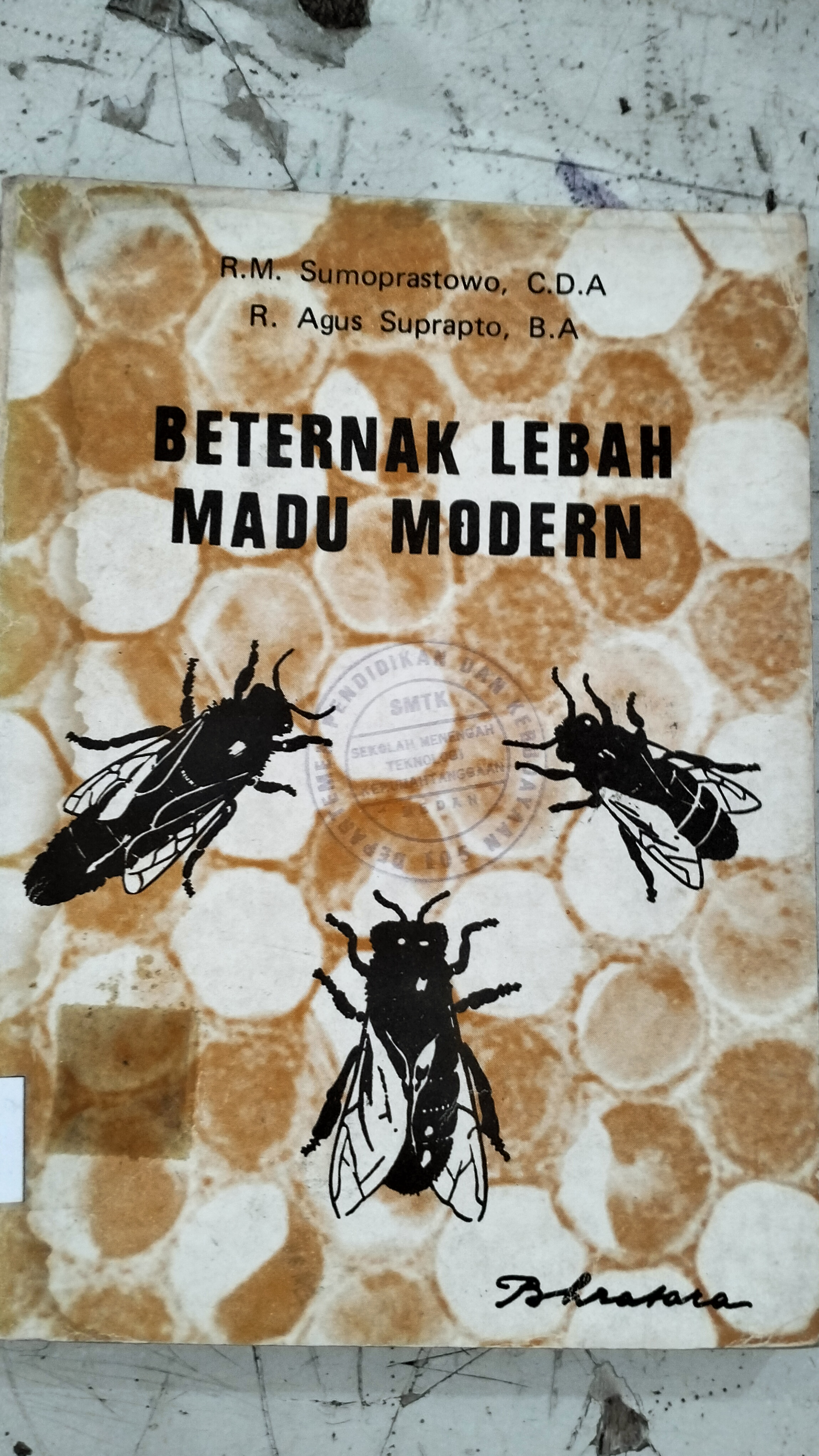 Beternak Lebah Madu Modern 