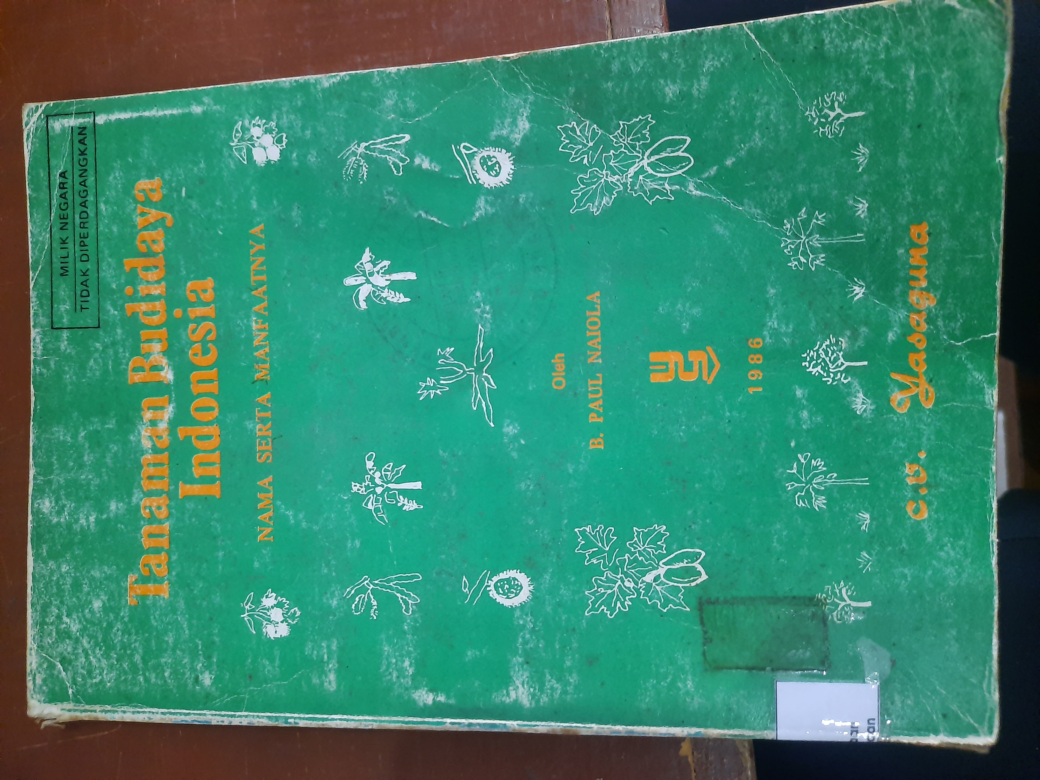 Tanaman Budidaya Indonesia 