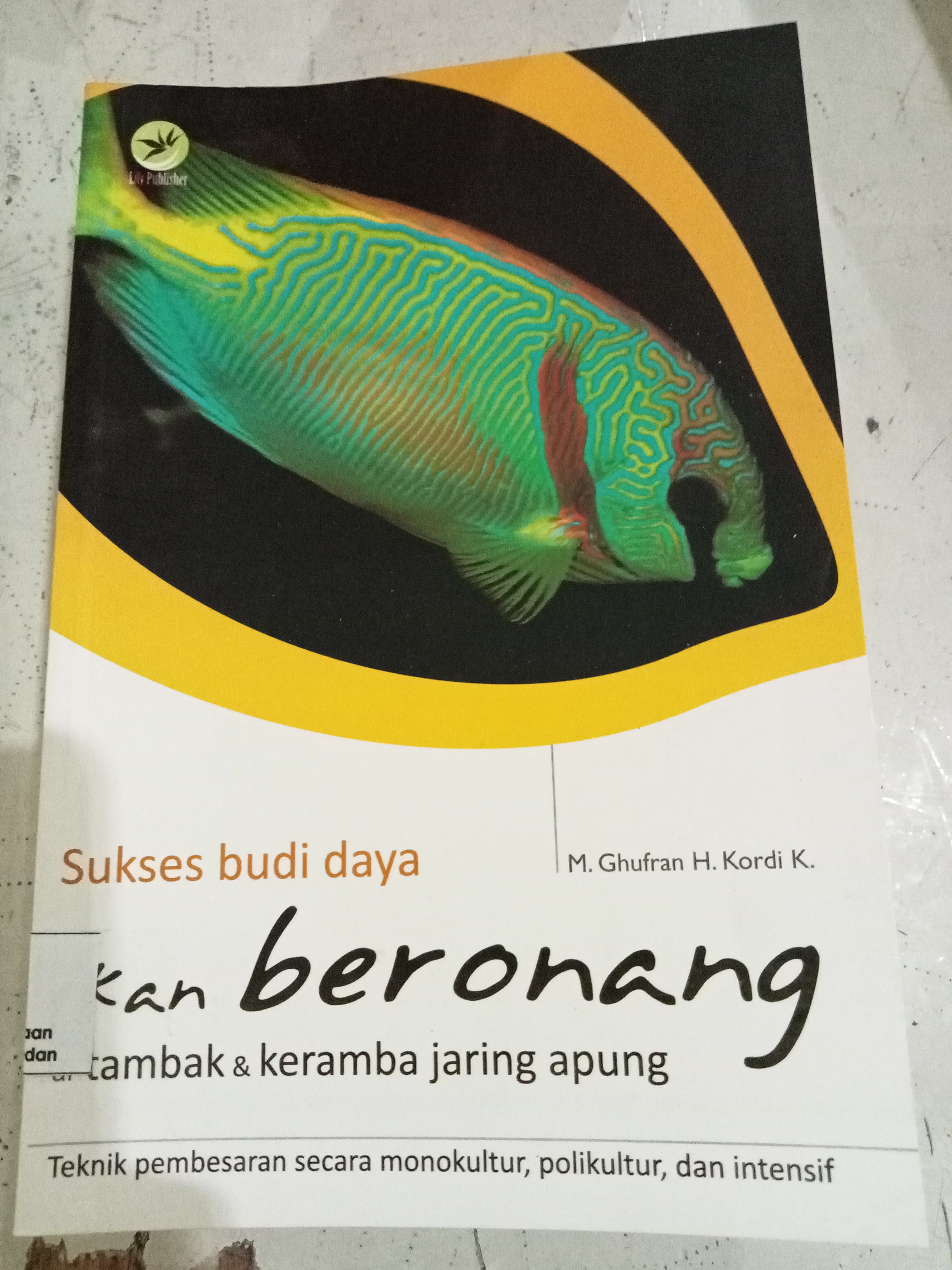 Sukses Budi Daya Ikan Beronang