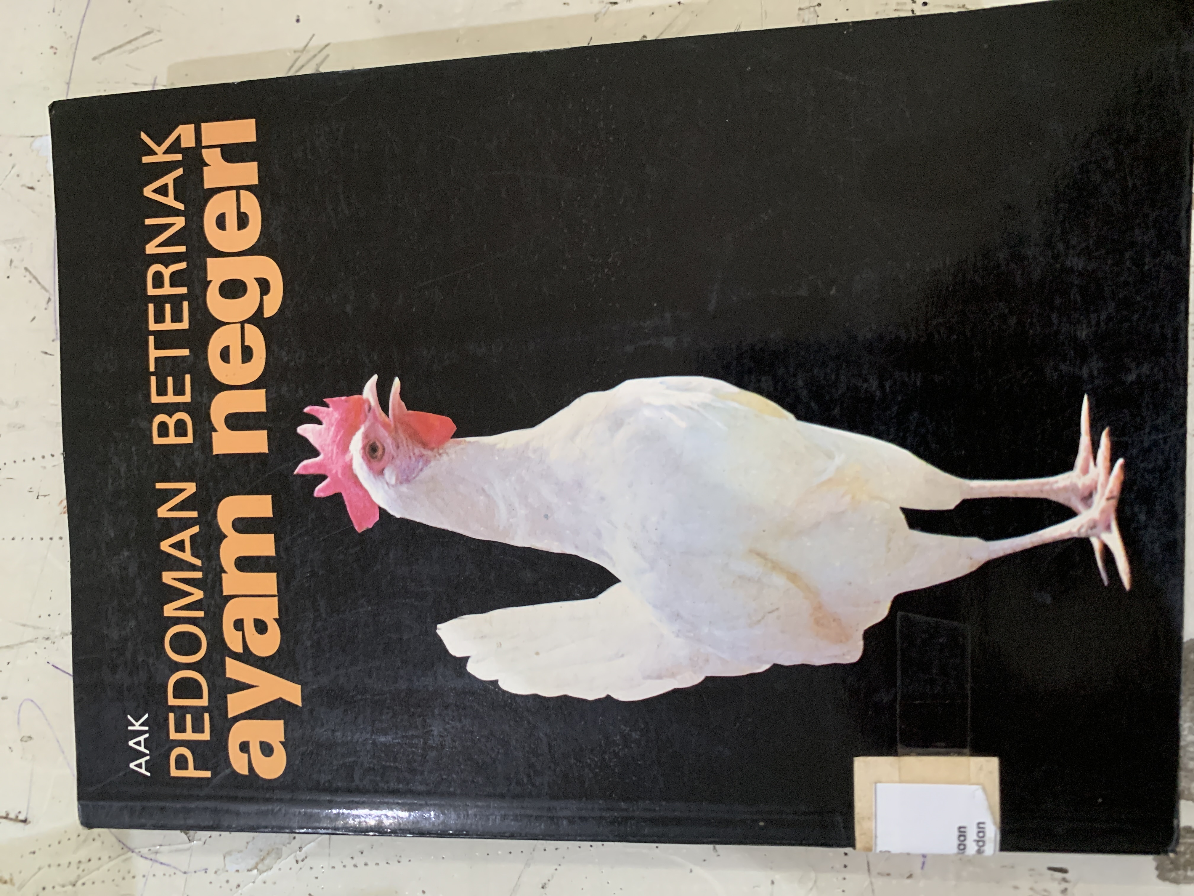 Pedoman  berternak ayam negeri