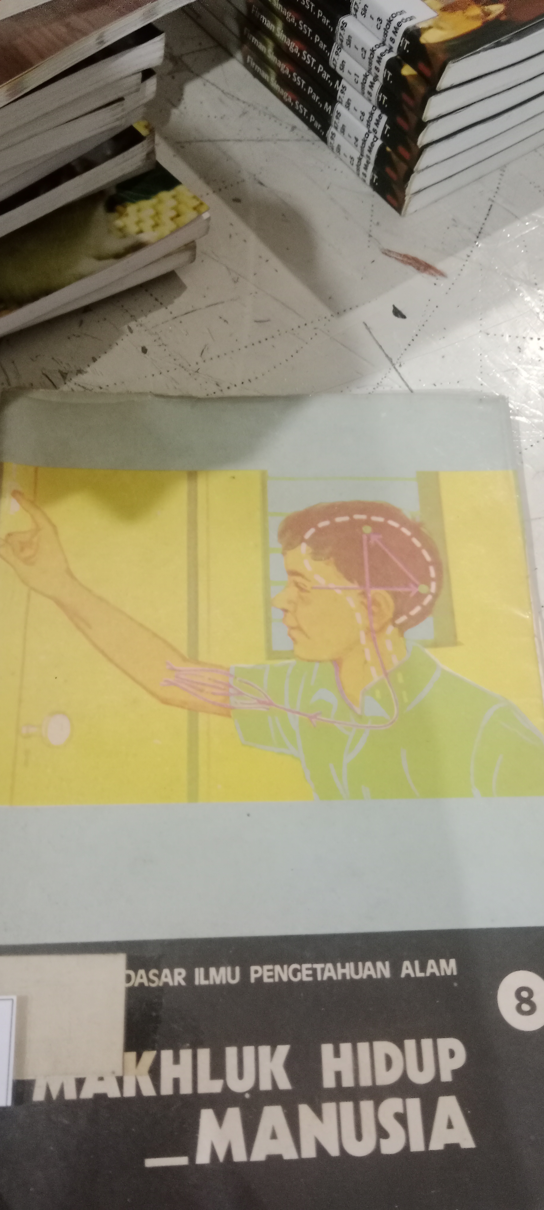 MAKHLUK HIDUP MANUSIA