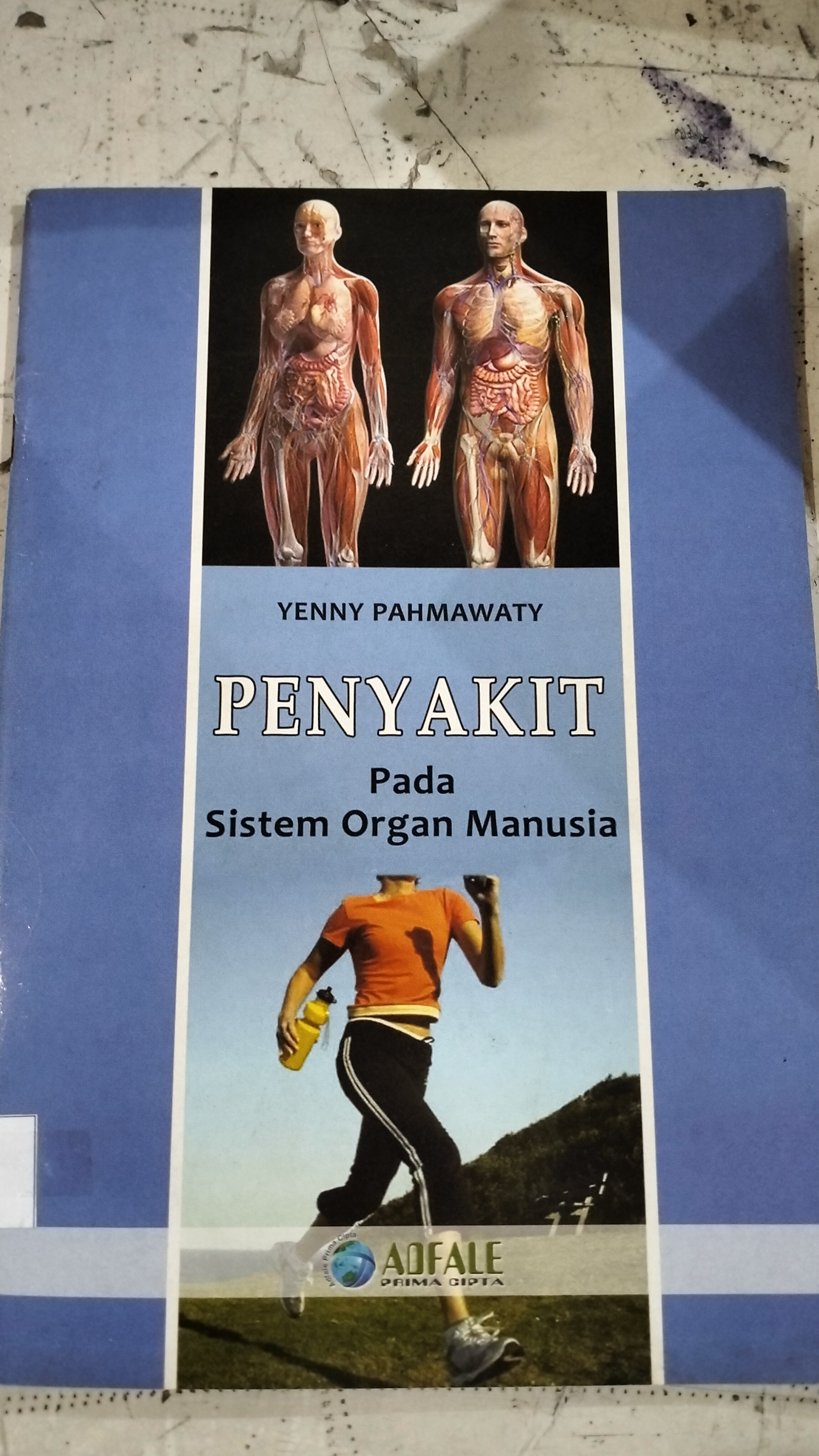 Penyakit Pada Sistem Organ Manusia 