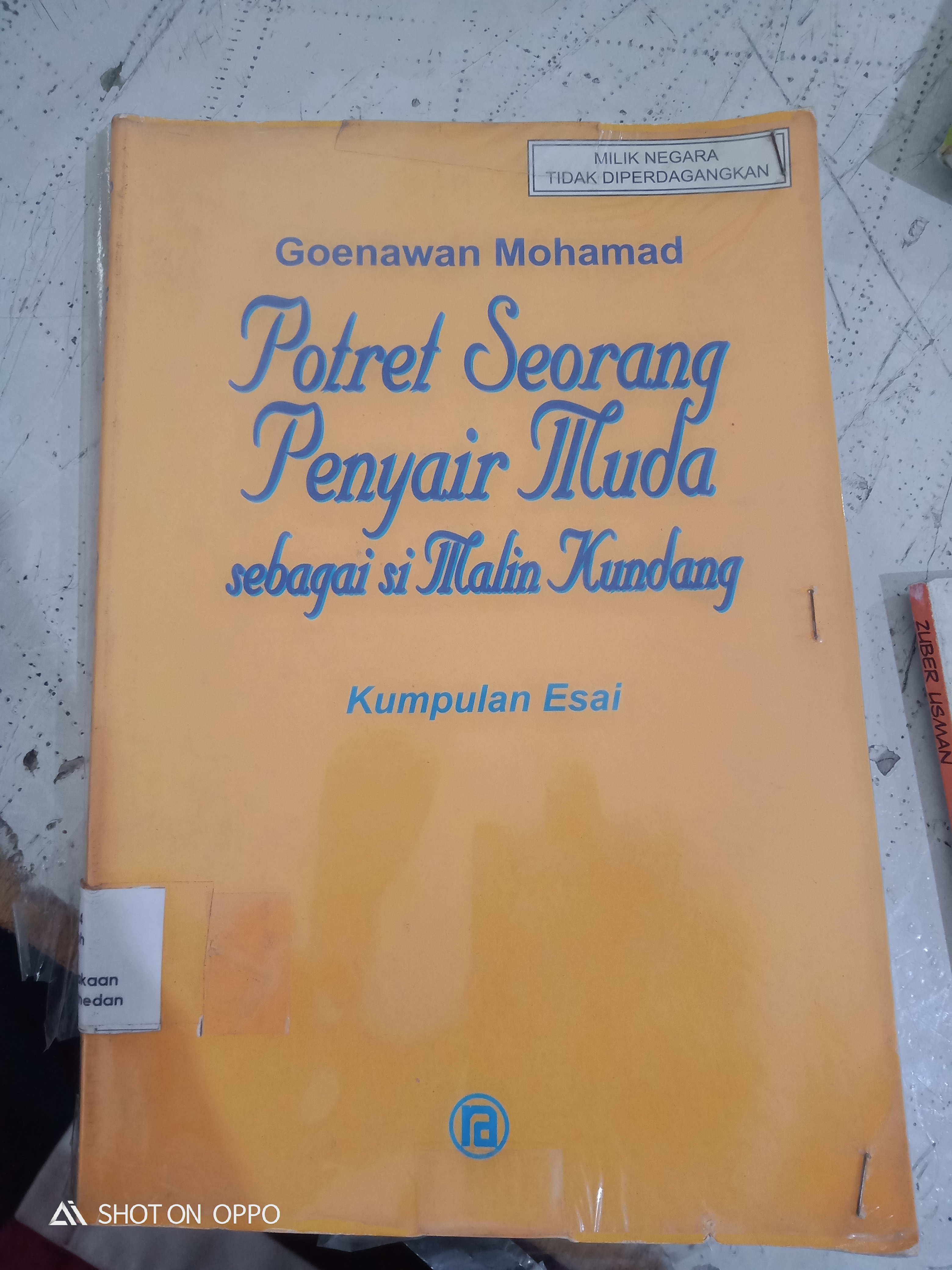 Potret Seorang Penyair Muda sebagai si Malin Kundang 
