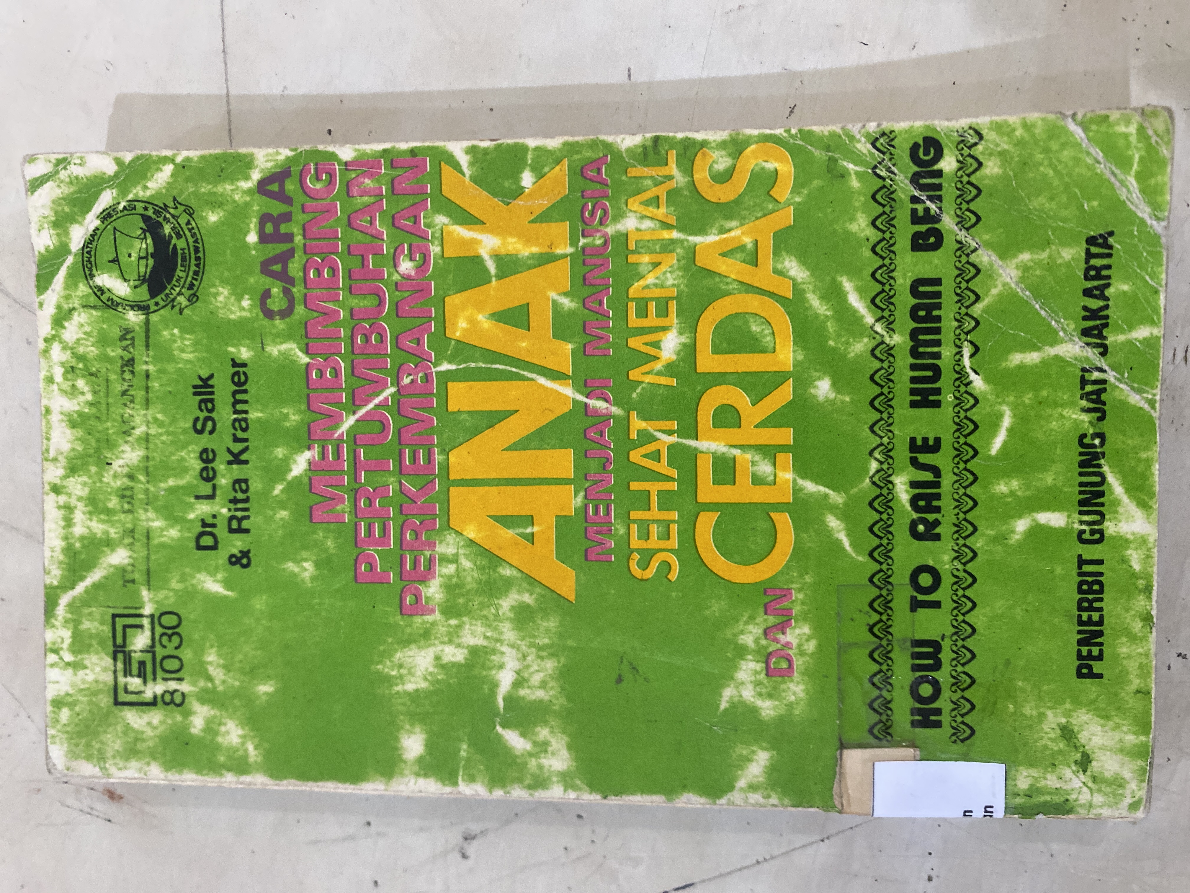 Cara membimbing pertumbuhan perkembangan anak menjadi manusia sehat mental dan cerdas 