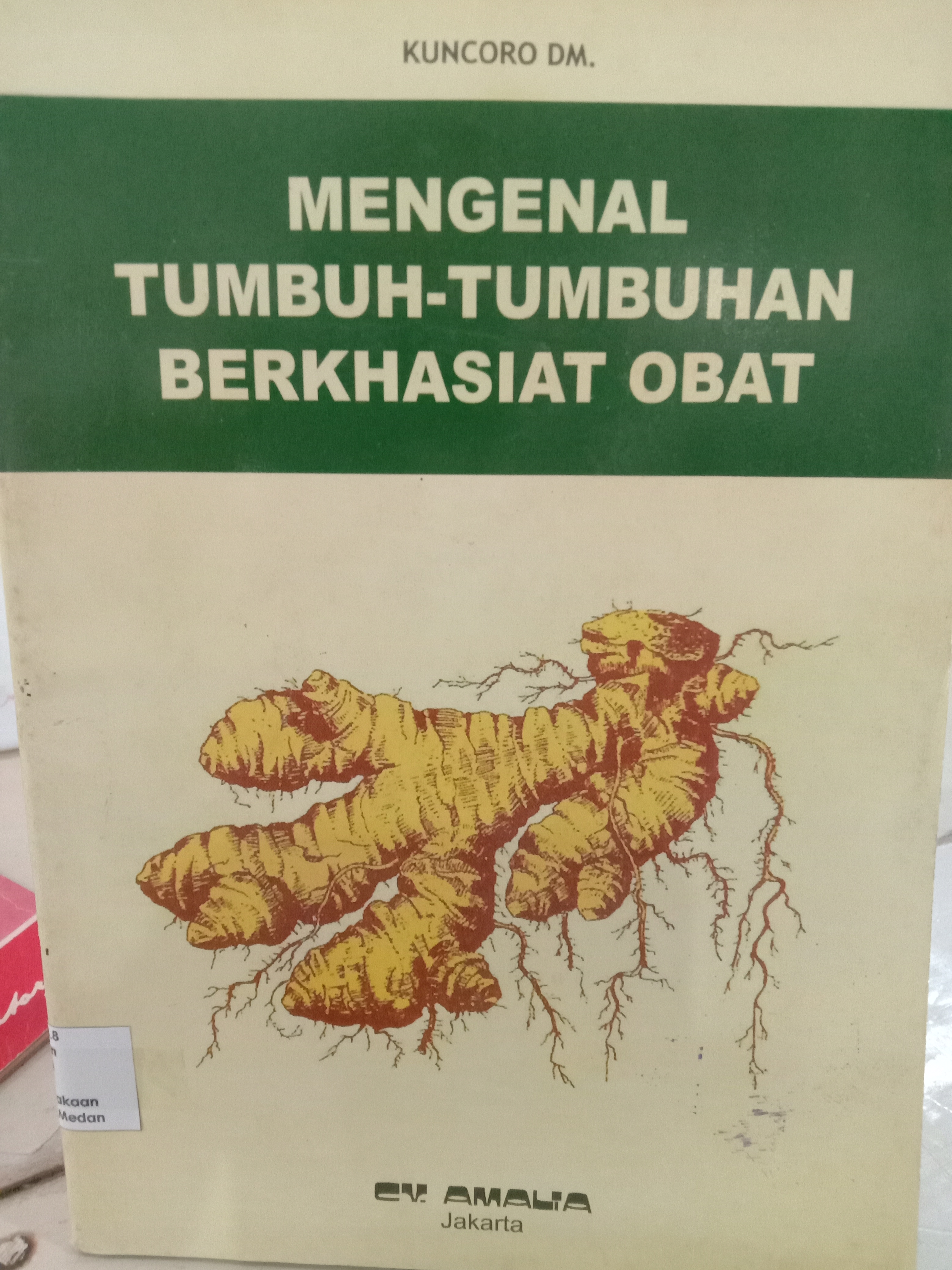 Mengenal tumbuh-tumbuhan berkhasiat obat