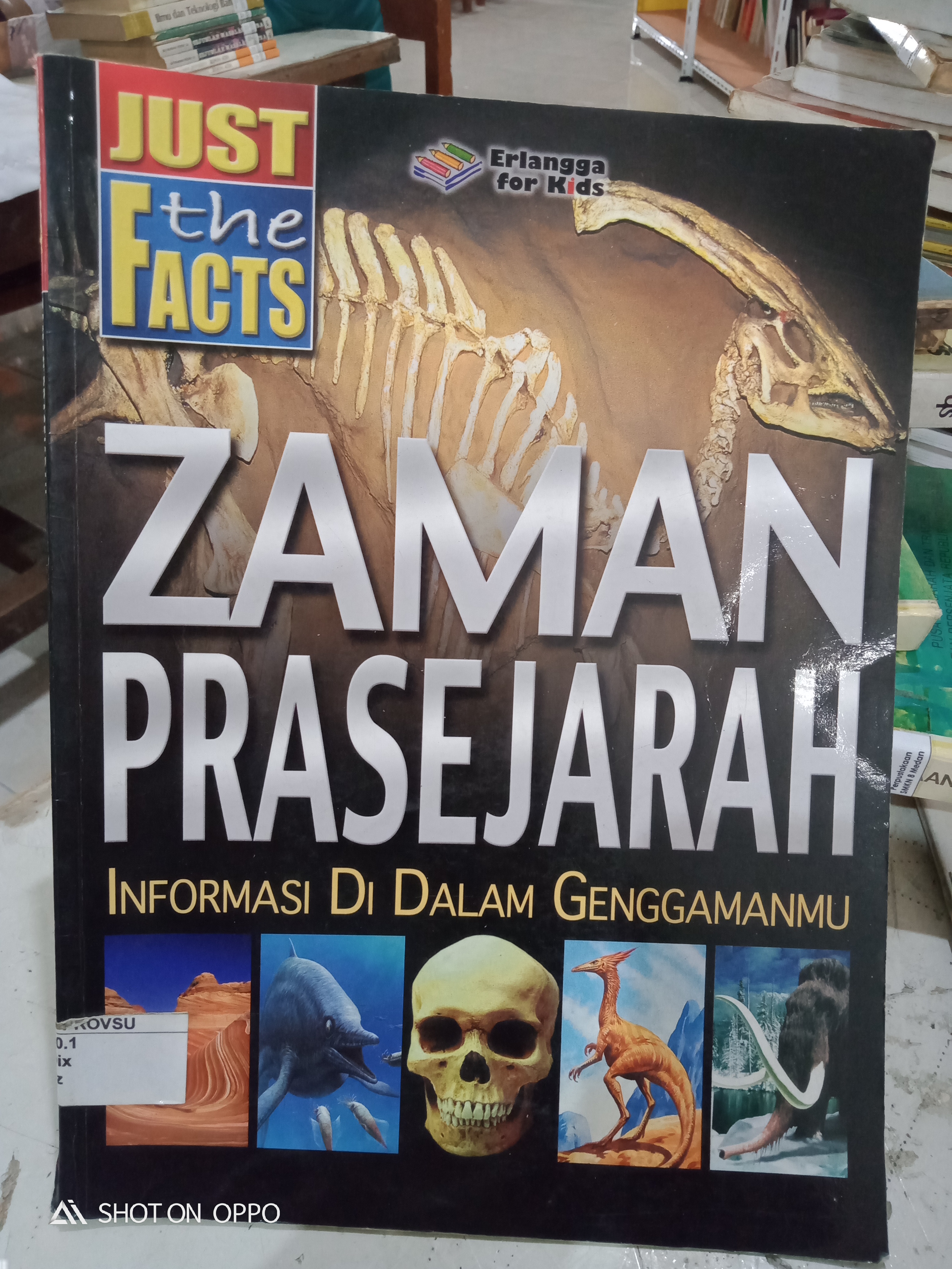 ZAMAN PRASEJARAH INFORMASI DI DALAM GENGGAMANMU