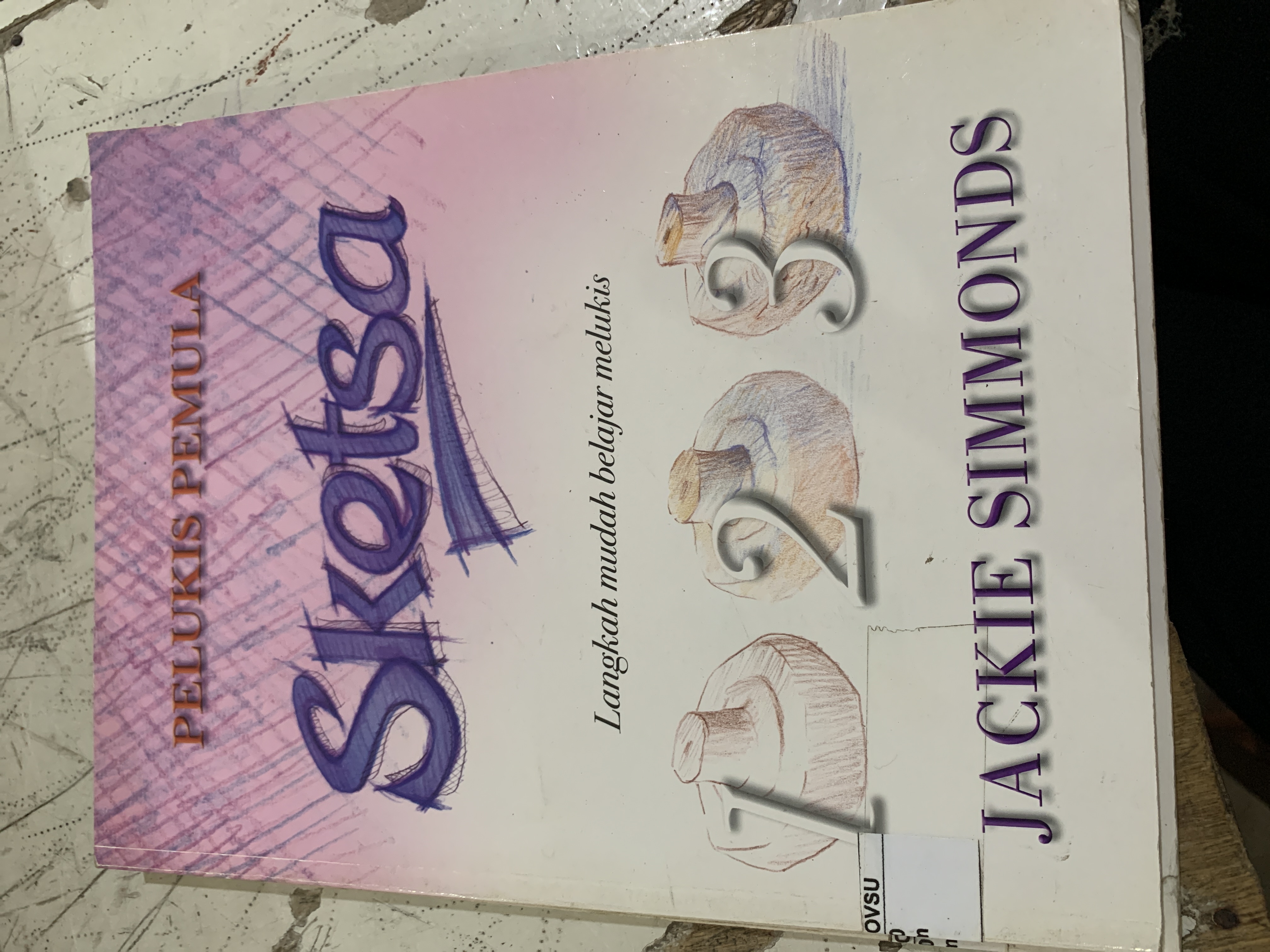 Pelukis Pemula Sketsa 