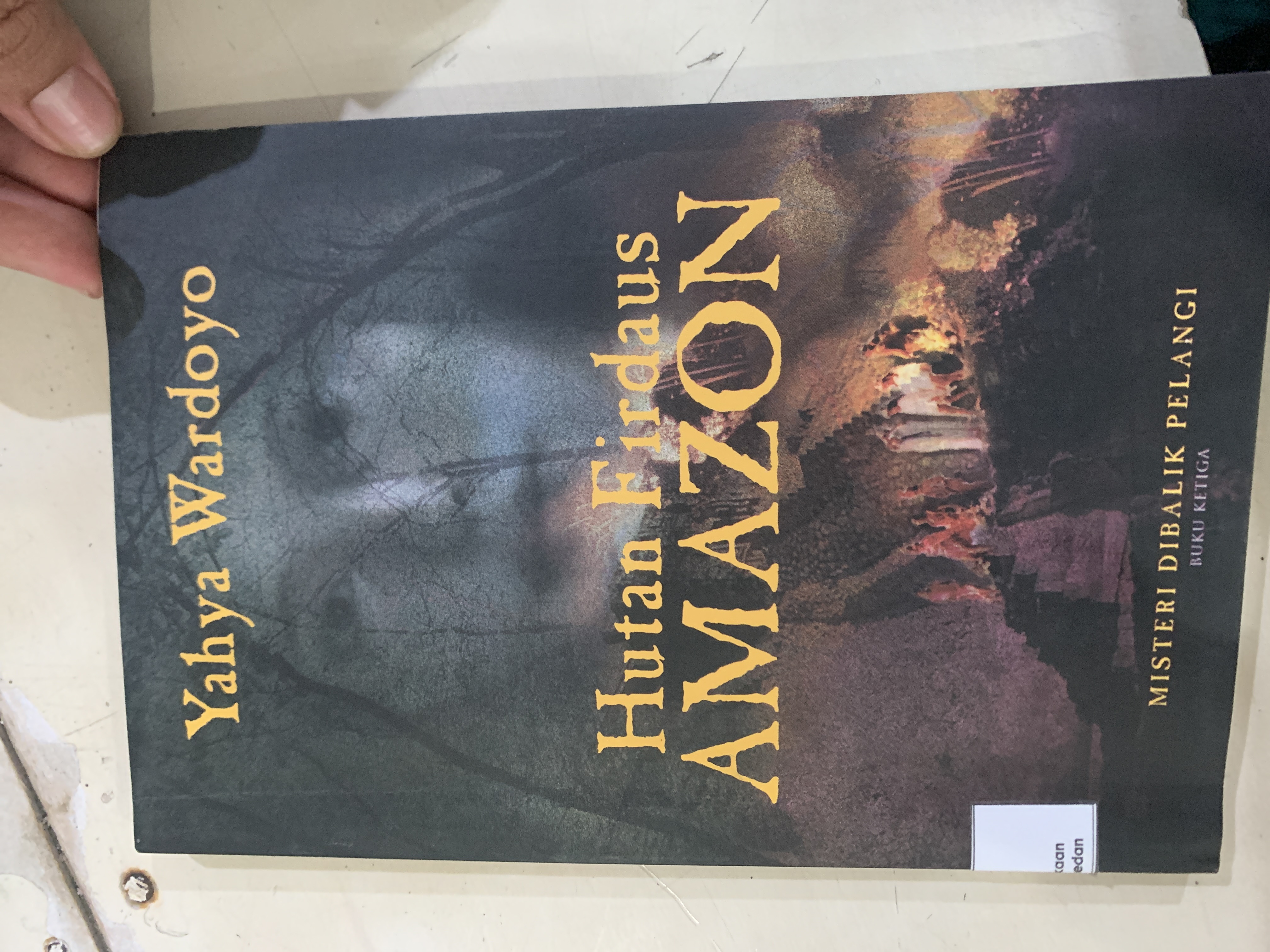 Hutan Firdaus Amazon