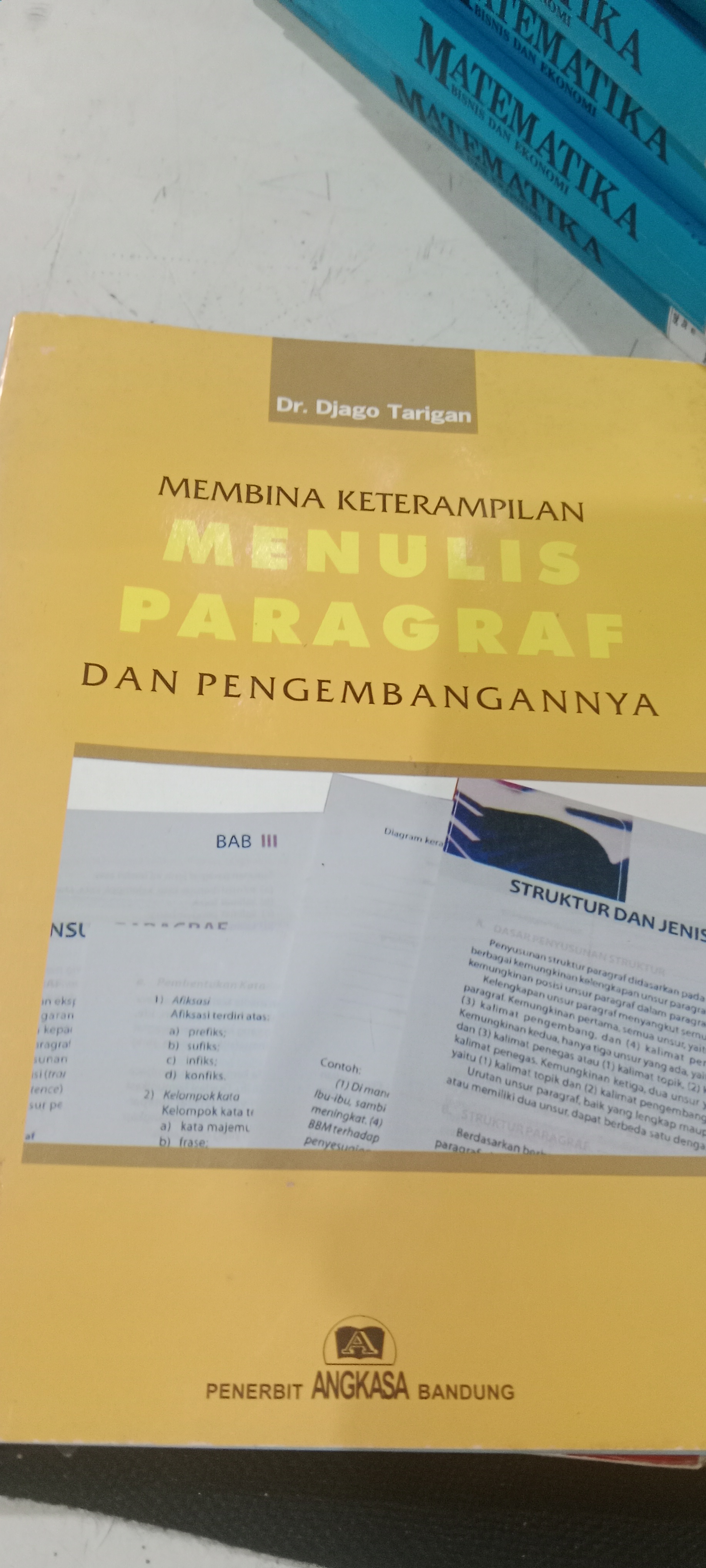 KETERAMPILAN MENULIS PARAGRAF DAN PENGEMBANGAN 