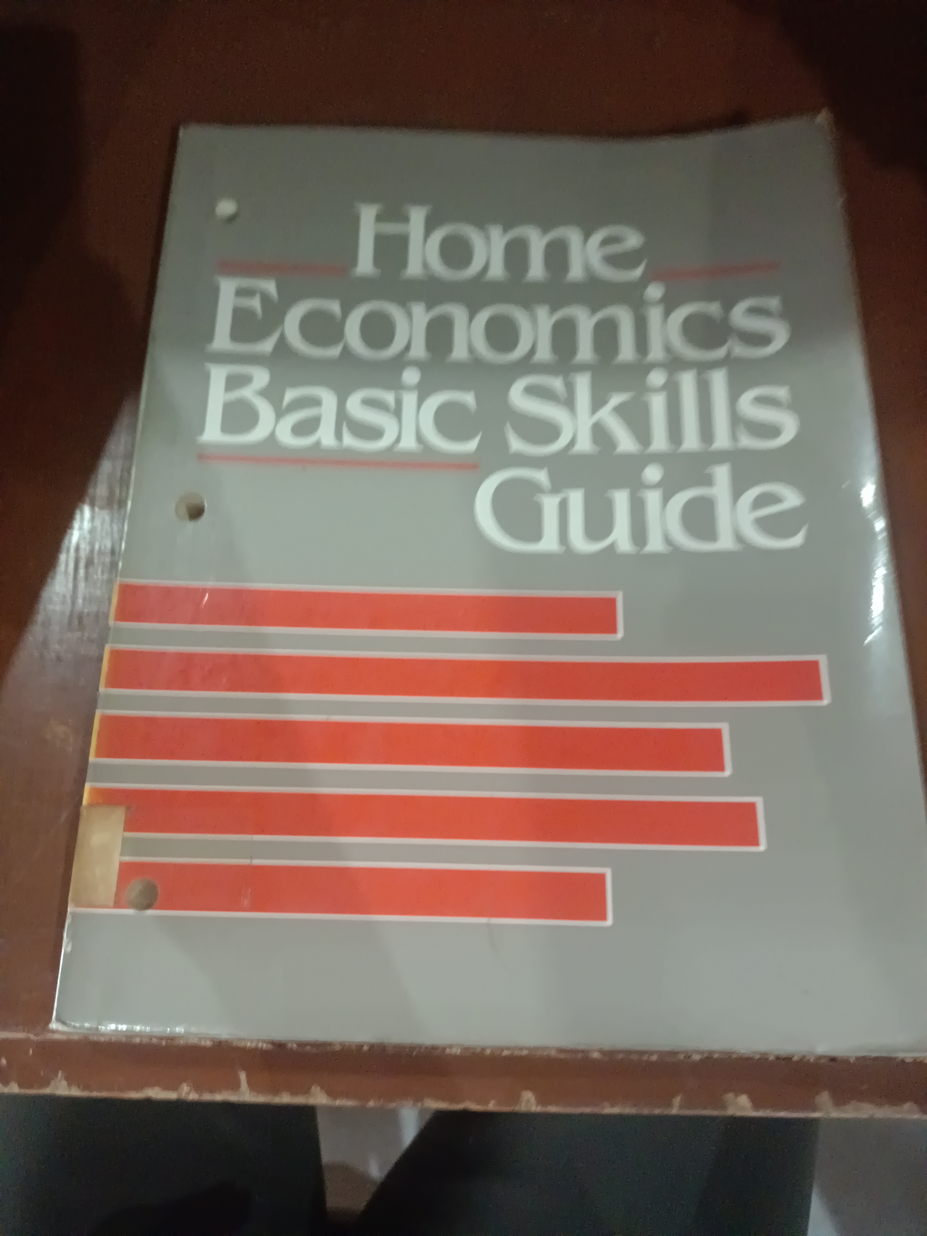  HOME ECONOMICS BASIC SKILLS GUIDE