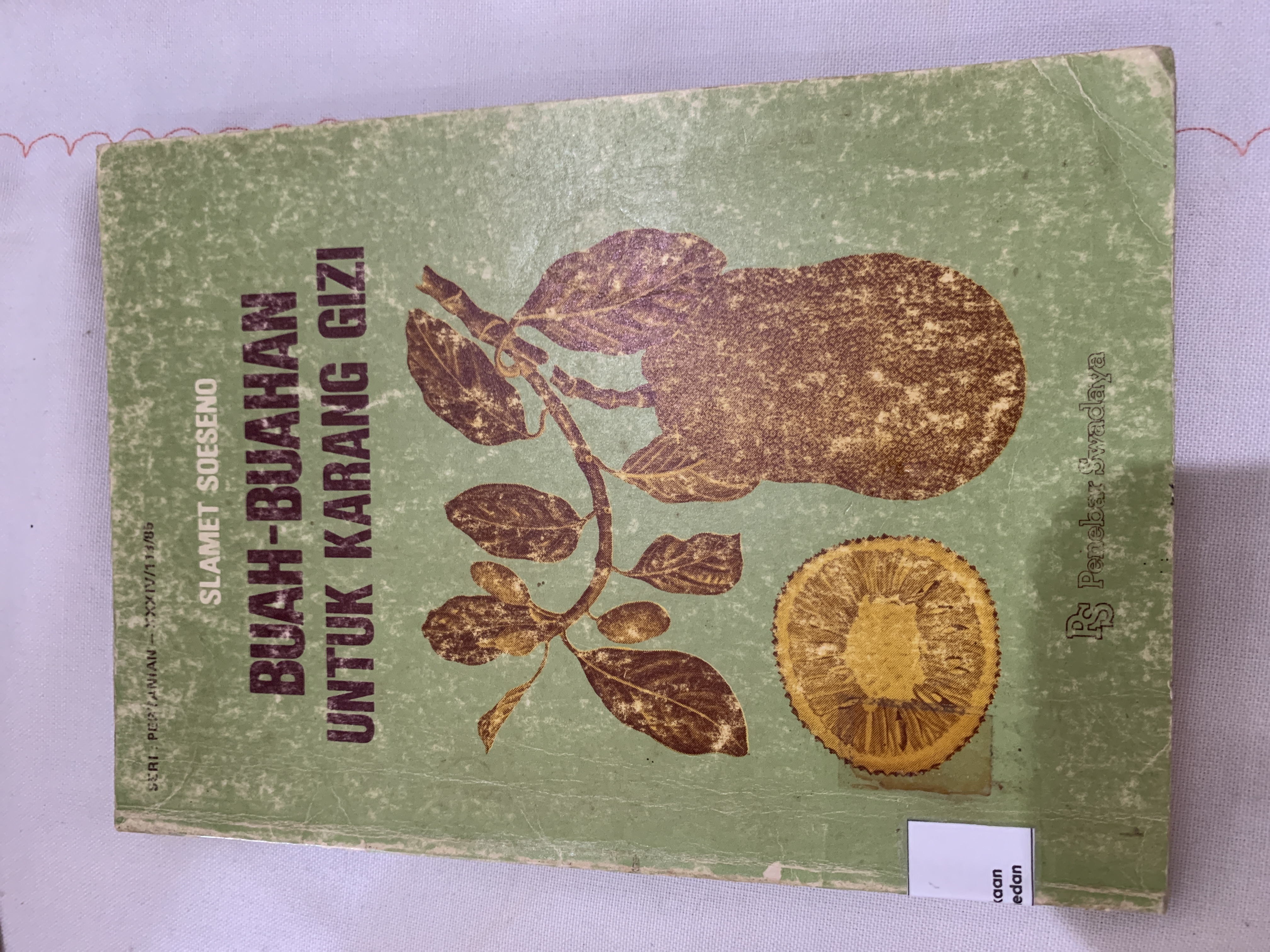 Buah-Buahan Untuk Karang Gizi