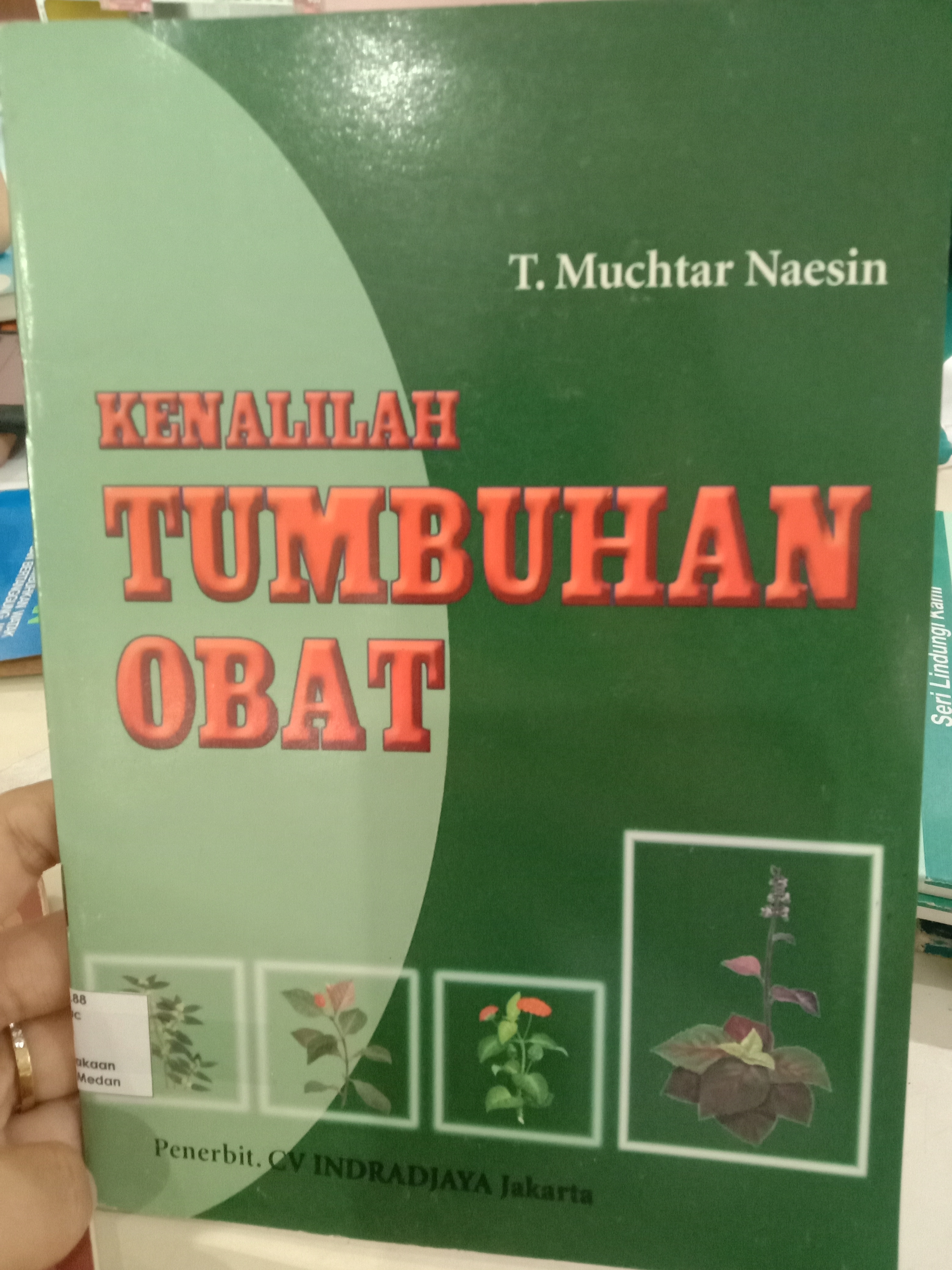 Kenalilah tumbuhan obat 